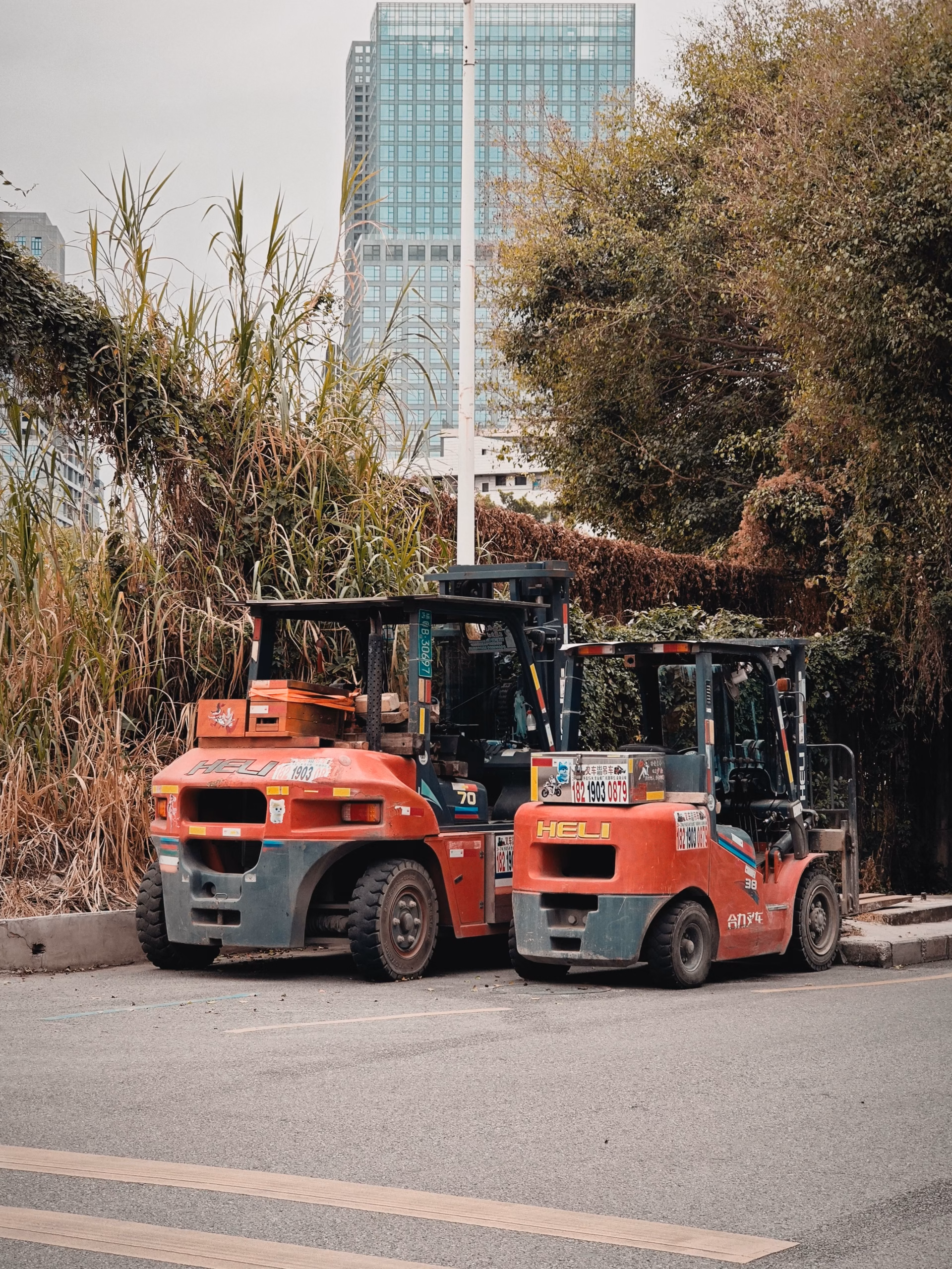 New vs Used Forklifts: Which Option Suits Your Needs Best?